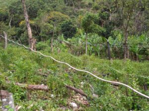 11024515_1045146988834408_1322097095_o-1