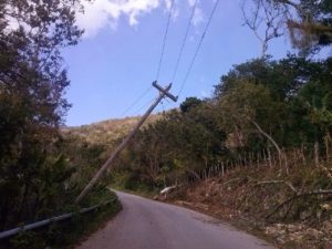 11164732_633648466734881_6185734280689644237_o