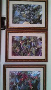 18218_372516872952096_7854930200242103237_n