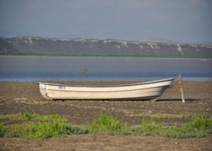 b69e0cac728e541366d1842d6bd0cb6f_L