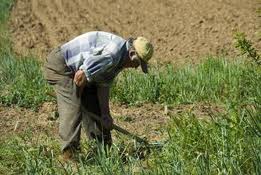 agricultorjubilado