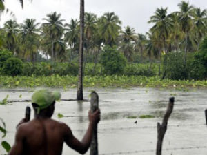 VIACABRAL2CPEC391ON.