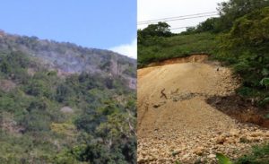 25550273_1544572655596623_5586981567301668246_n