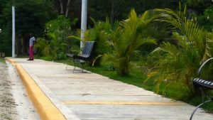 animales_salvan_vidas_09