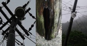 32686202_2049305712057879_3713118112086753280_n