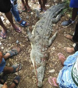 IMG_20190916_172525_734