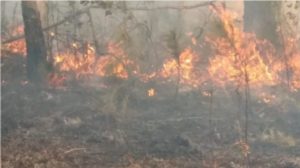 Screenshot_20200919-145738_Facebook