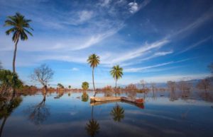 f934fcaeca76a18f7d112f6bde59cdb9