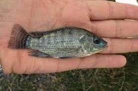 FB_IMG_1601778279679