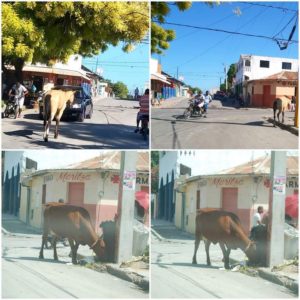 FB_IMG_1604001363130