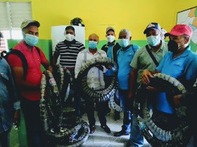 IMG-20201030-WA0099~2