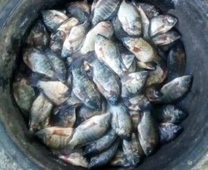 Screenshot_20201016-144324_Facebook