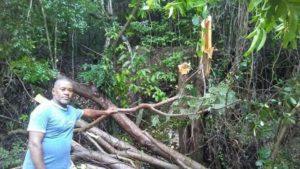 FB_IMG_1604504309981