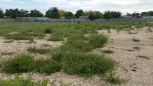 FB_IMG_1606353054389