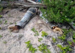 Screenshot_20201113-213224_Chrome