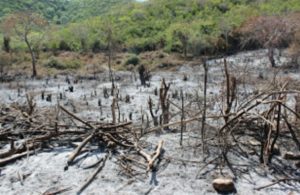 Screenshot_20210131-204715_Samsung Internet