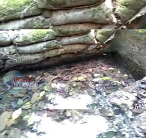 Screenshot_20210323-095500_InShot