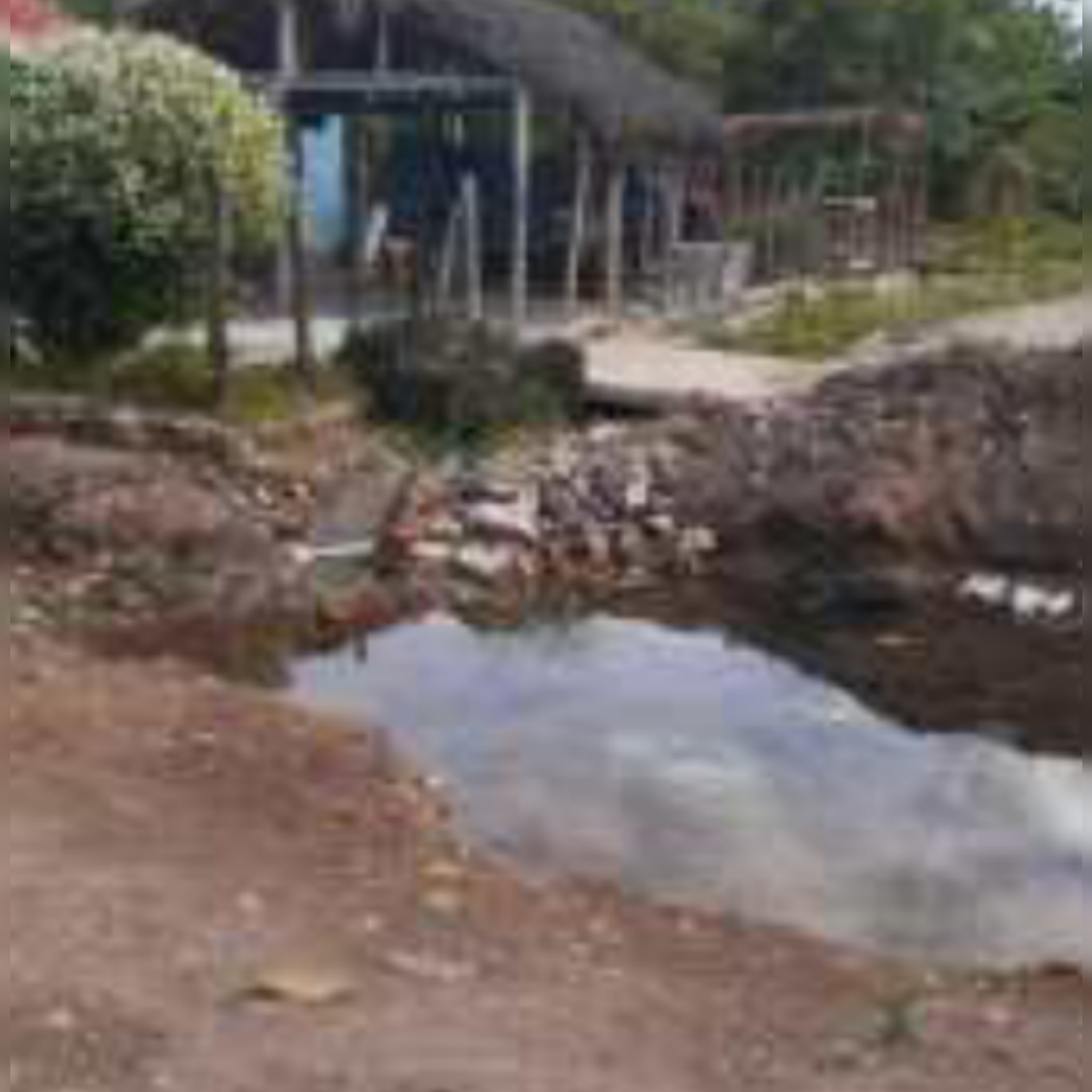 InShot_20210408_220042235