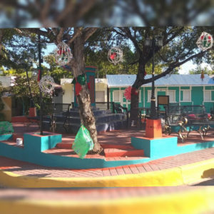 InShot_20210506_223158070