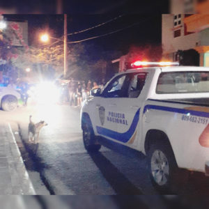 InShot_20210529_201536159