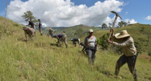 IMG-20181229-WA0313-696x392-1024x550