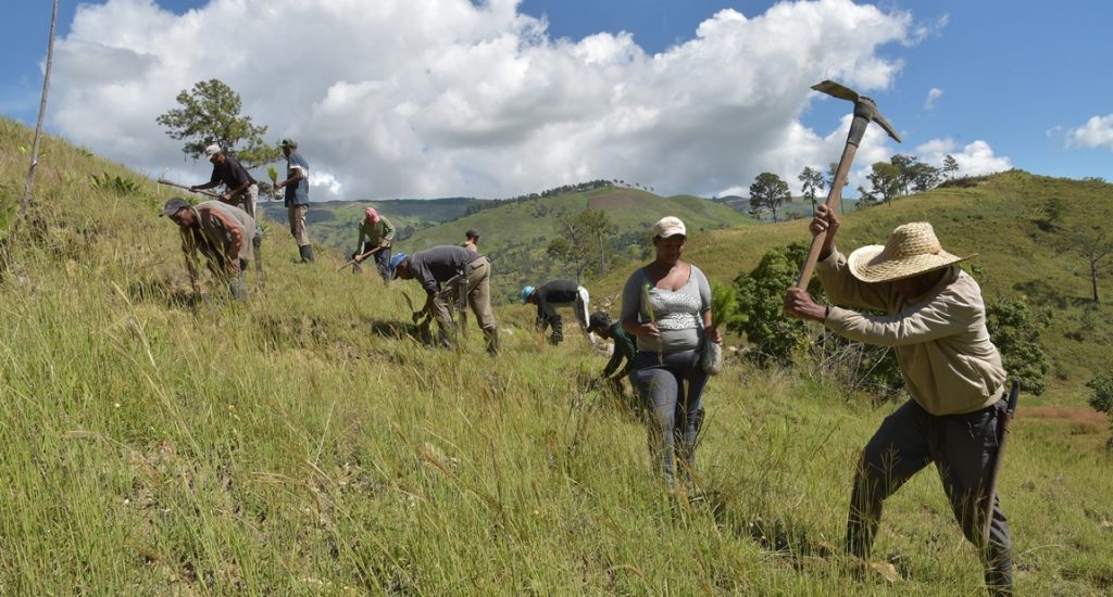 IMG-20181229-WA0313-696x392-1024x550