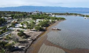 Screenshot_20210712-160559_Gmail