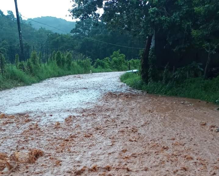 FB_IMG_1629236499010