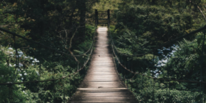 Captura-de-Pantalla-2021-10-28-a-las-8.43.00-p.-m.-696x347