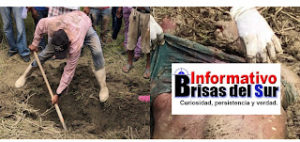 D4748163-32D3-4322-829C-471B644C455D