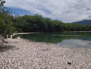 FB_IMG_1633206545858