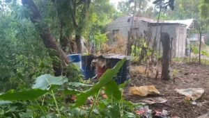 464d2a18-f832-4c0d-b2a6-8987e761cc55