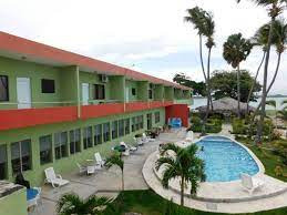 WhatsApp Image 2022-02-17 at 12.44.06 PM