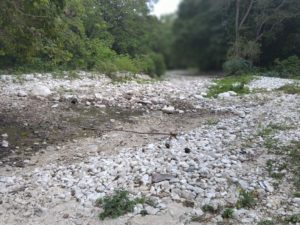 275477733_1407050716420543_8736919952875183119_n