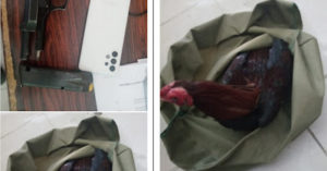 InShot_20220311_083733471