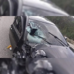 InShot_20220416_102559529