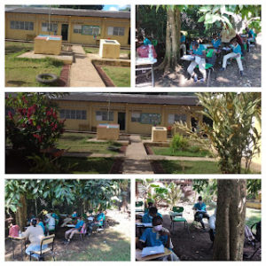 InstaShape_202242491923344