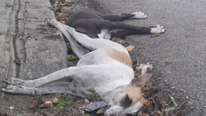 InShot_20220630_130243396