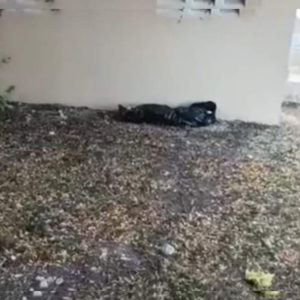 InShot_20220806_222300528