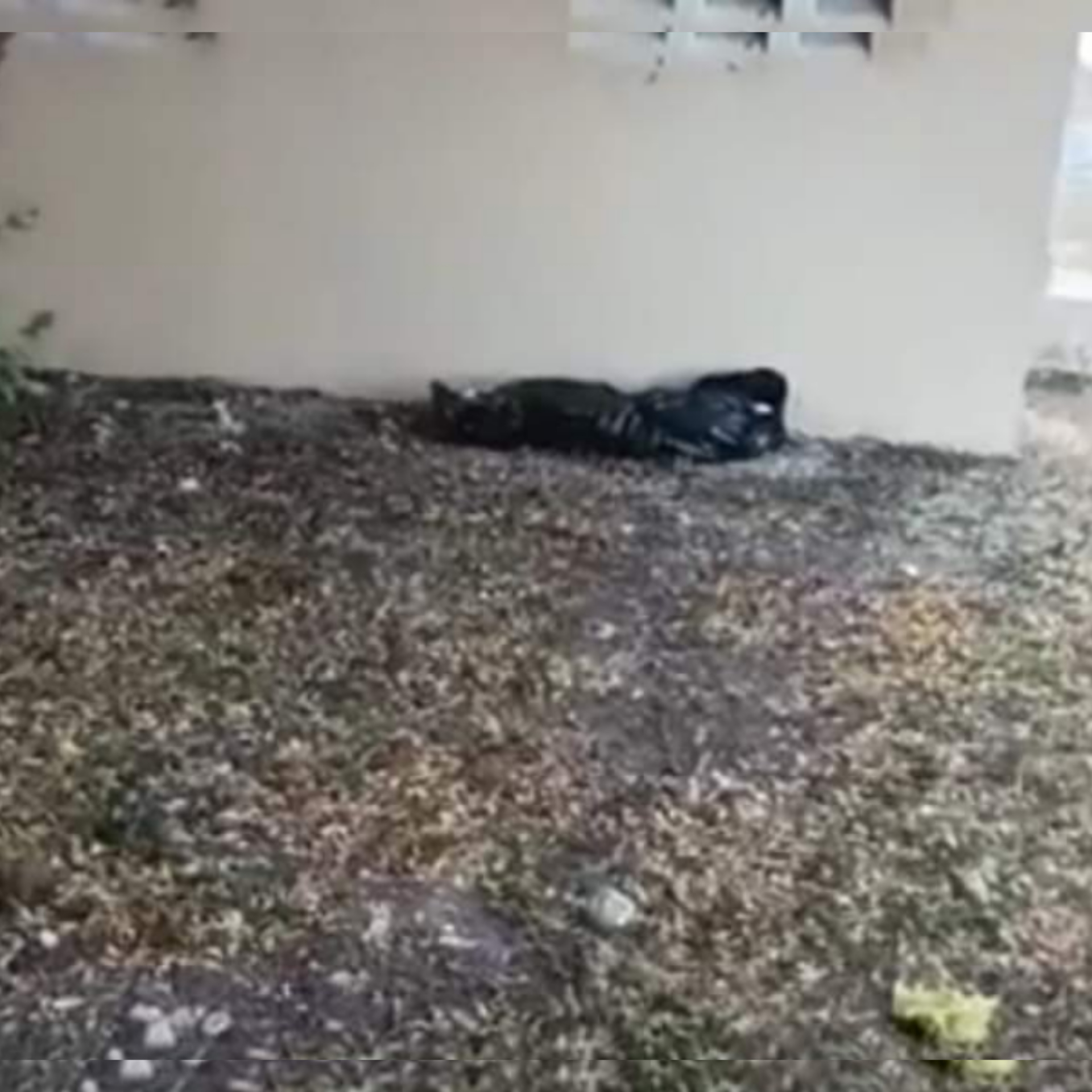 InShot_20220806_222300528