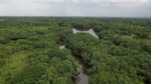 Screenshot_20220809-130909_Drive