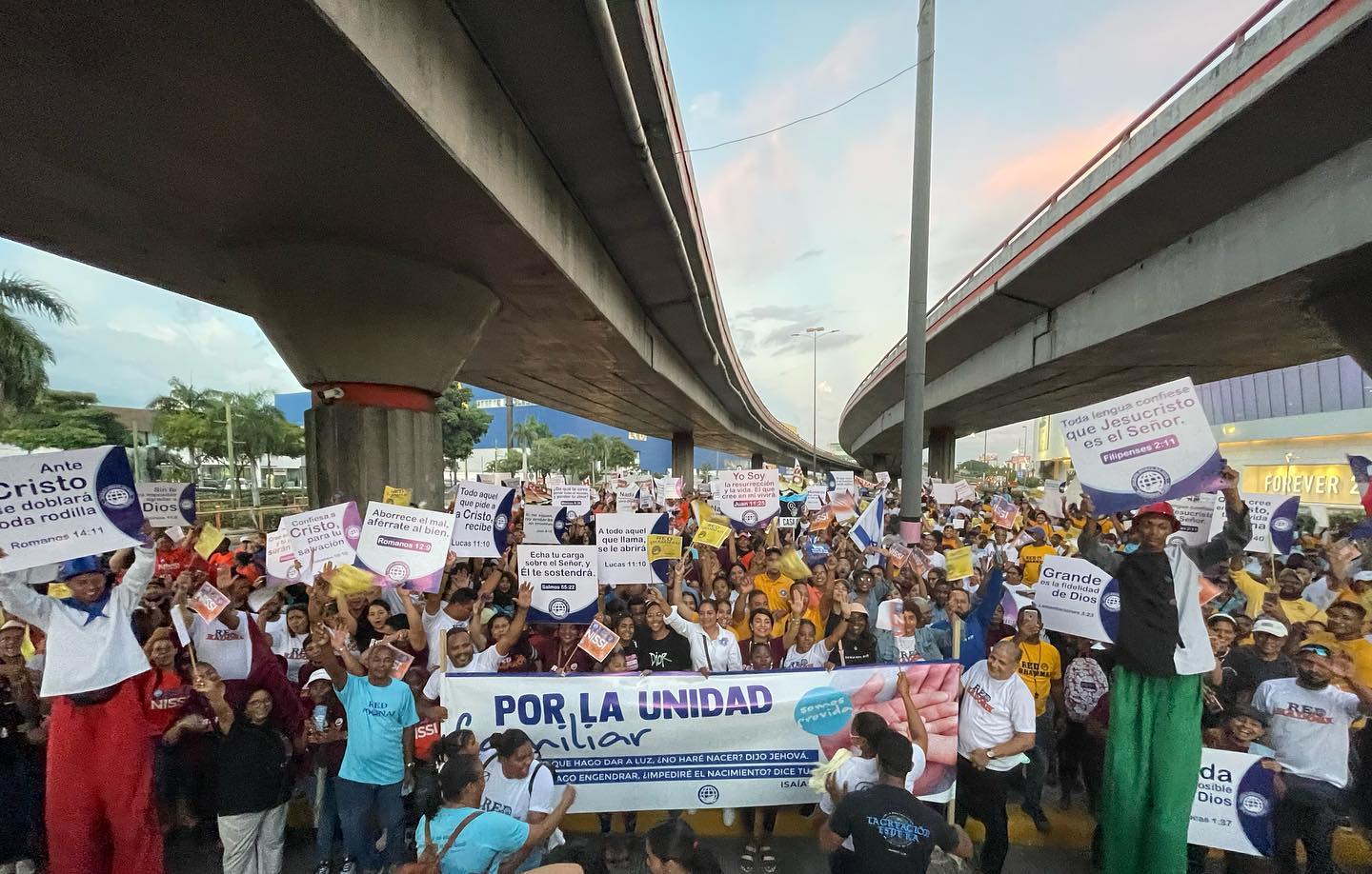 Bandereo pro vida (1)