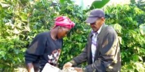 WhatsApp-Image-2022-10-23-at-11.41.00-AM-750x375