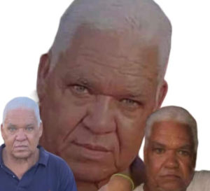 InShot_20221119_144951785