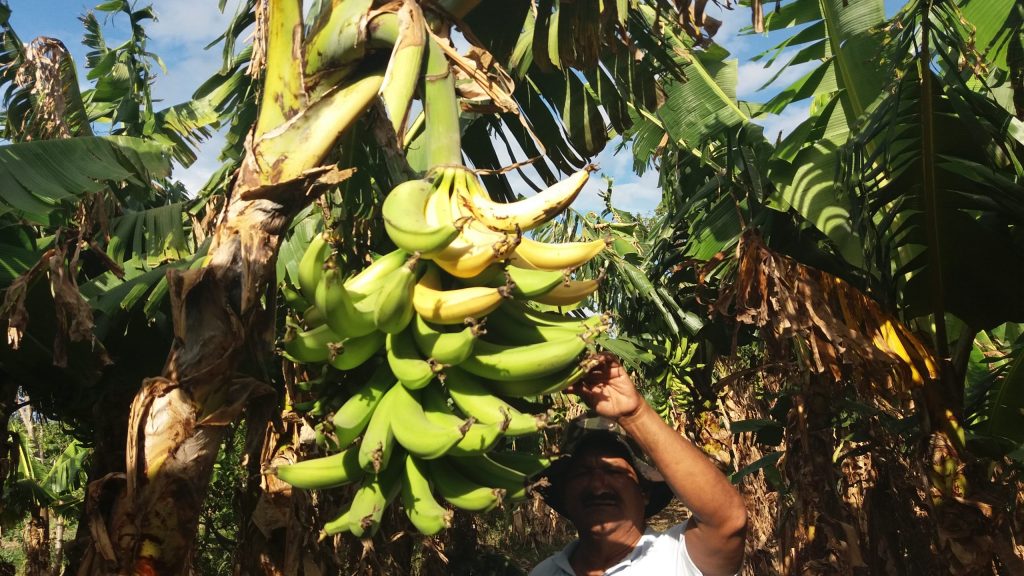 20170412_155035-scaled