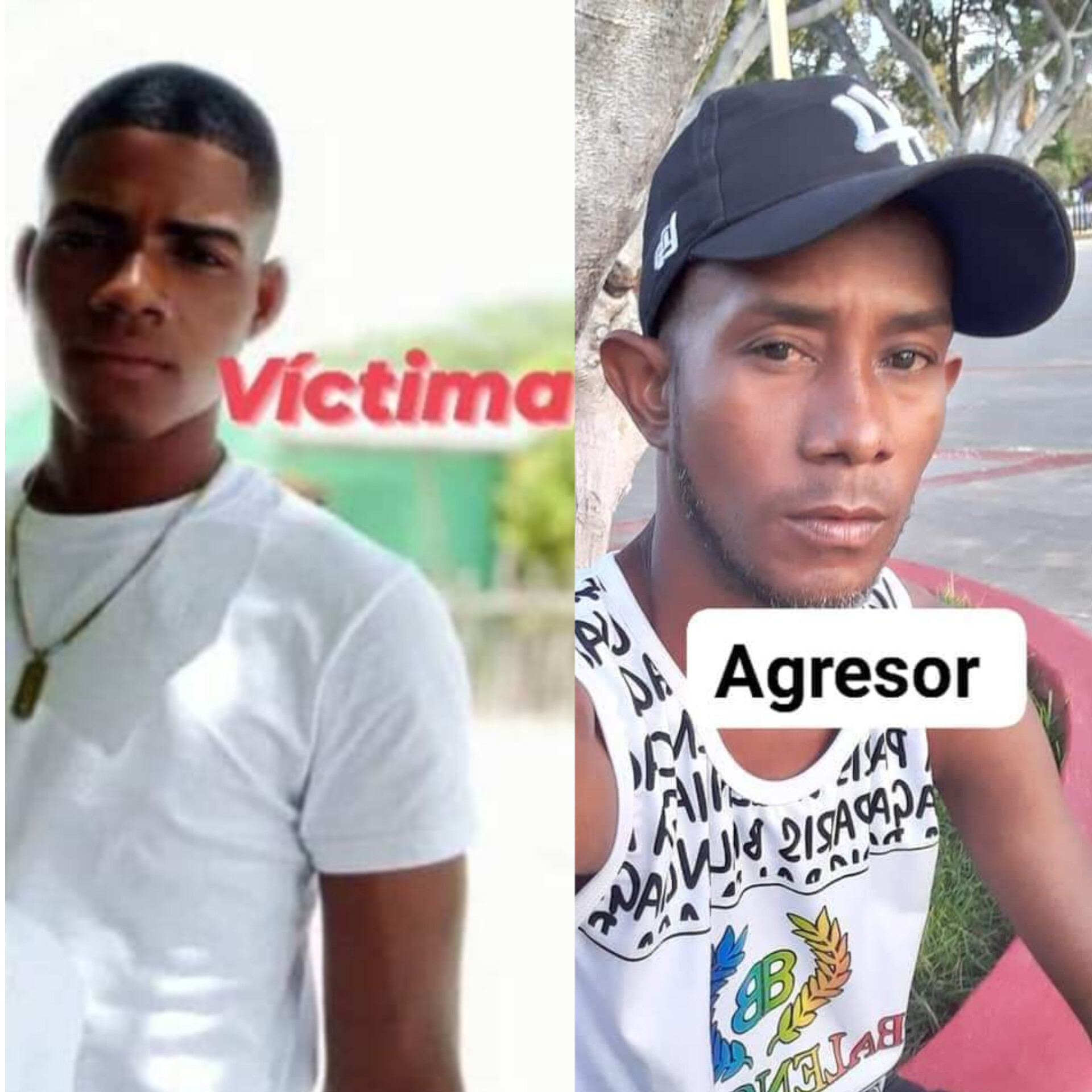 InShot_20221206_215703406