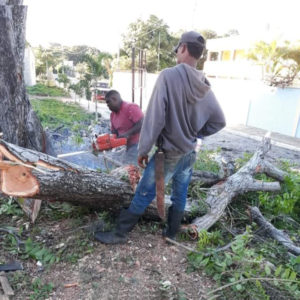 InShot_20221216_222135517