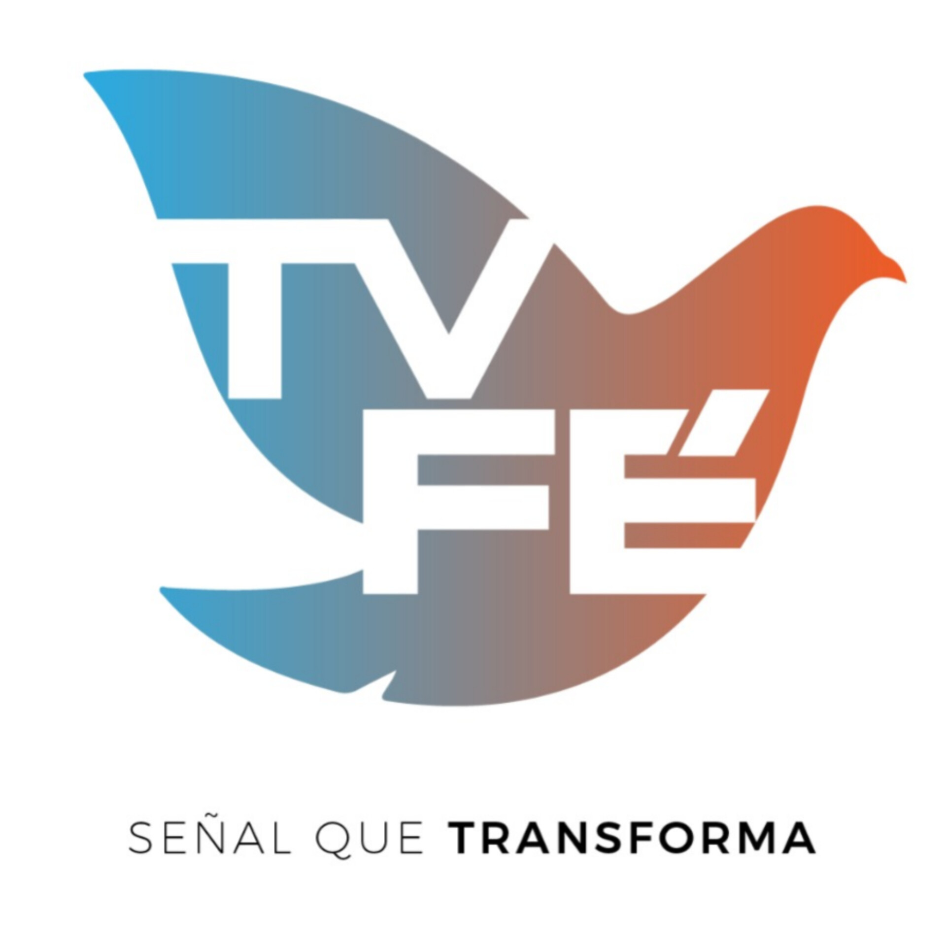 InShot_20230106_124627190