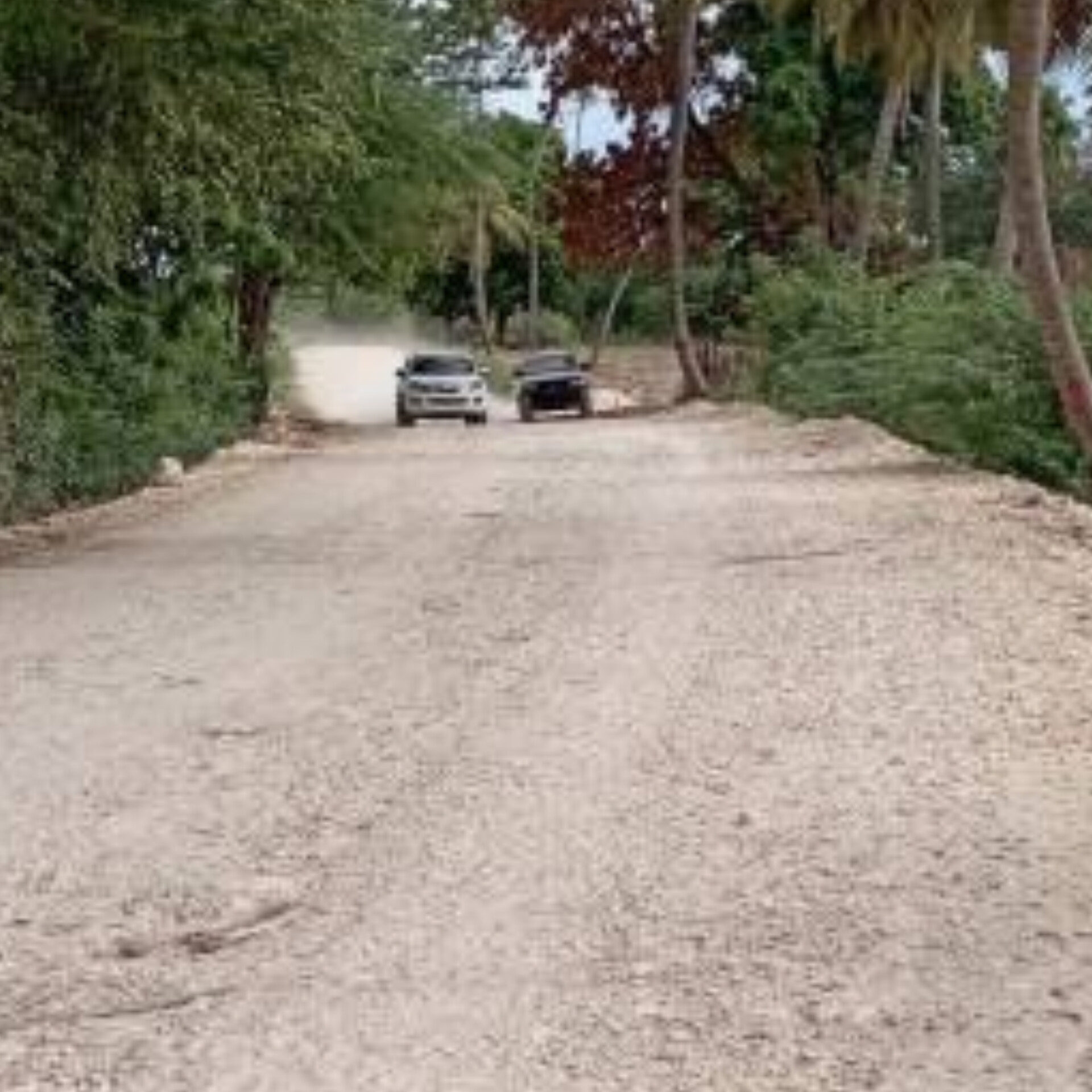 InShot_20230109_152846520