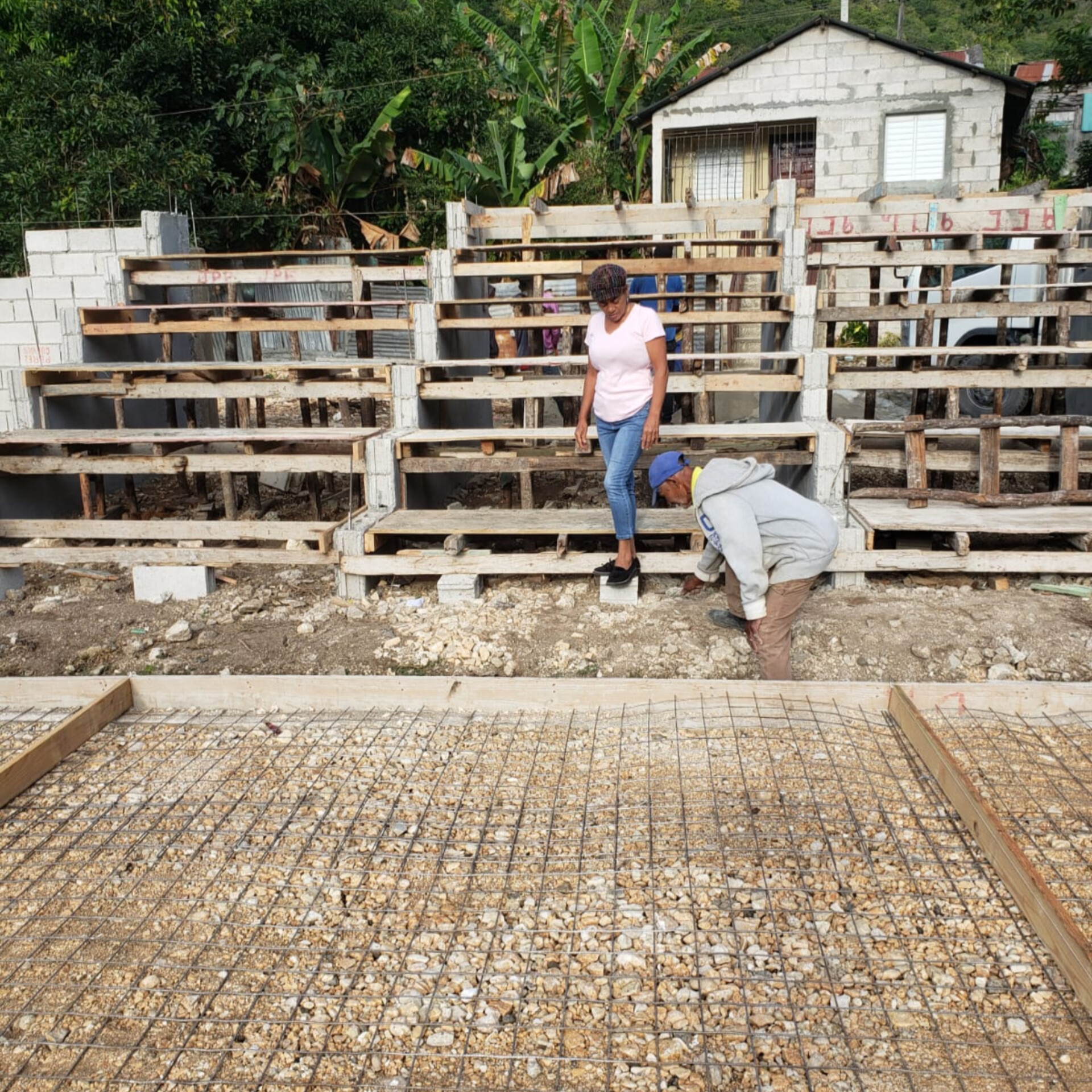 InShot_20230114_131729039